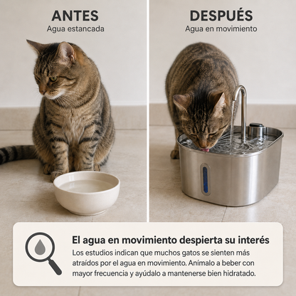 Fuente de Agua para Gatos Acero Inoxidable 2,2 L